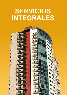 servicios integrales